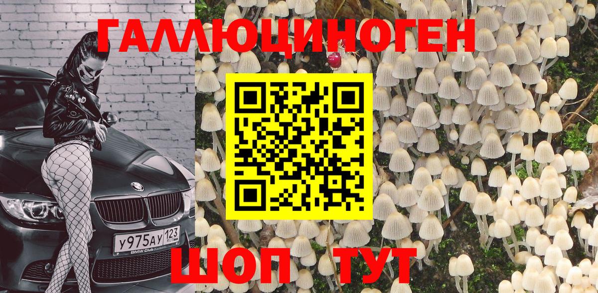 Георгиевск  Псилоцибиновые грибы мицелий  Вход с VPN 